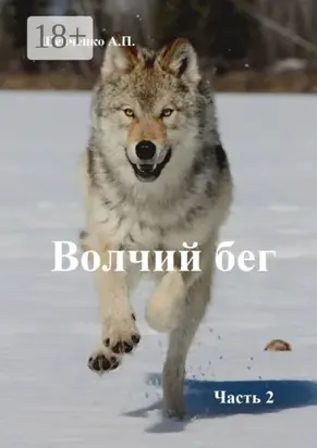 Волчий бег. Часть 2