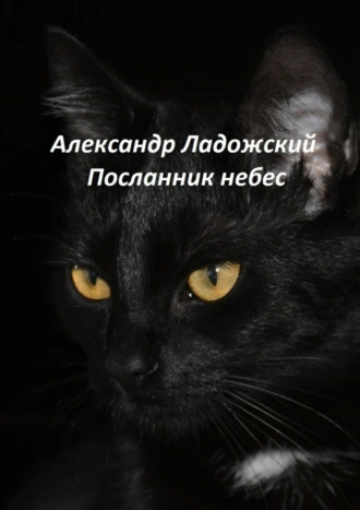 Посланник небес