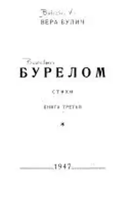 Бурелом. Книга третья