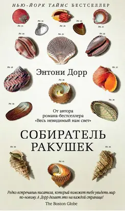 Собиратель ракушек