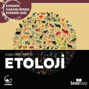 EVRENİN KARANLIĞINDA EVRİMİN IŞIĞI BÖLÜM 8 / ANTROPOLOJİ - İnsanı Anlamak...