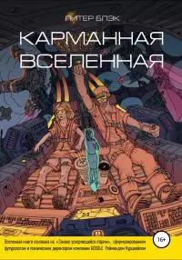 Карманная вселенная [litres самиздат]