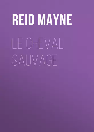 Le cheval sauvage