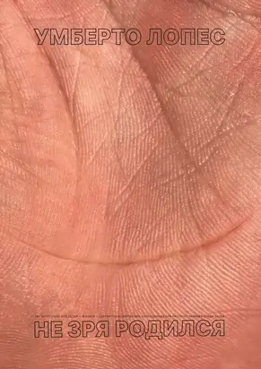 Не зря родился [Сборник]