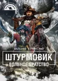 Штурмовик-2. Вольное братство