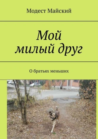 Мой милый друг. О братьях меньших