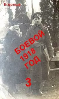 Боевой 1918 год-3 [СИ]