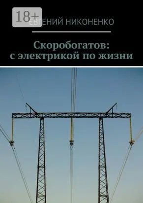Скоробогатов: с электрикой по жизни