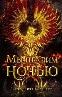 Мы правим ночью [litres]