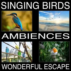 Singing Birds Ambiences, Wonderful Escape