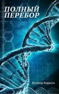 Полный перебор [СИ]