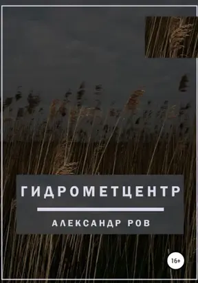 Гидрометцентр