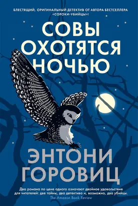 Совы охотятся ночью [Литрес]