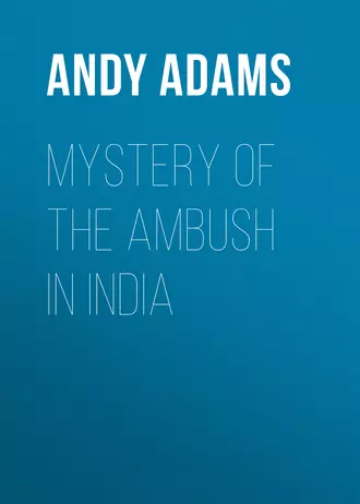 Mystery of the Ambush in India