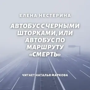 Автобус с черными шторками, или Автобус по маршруту «Смерть»