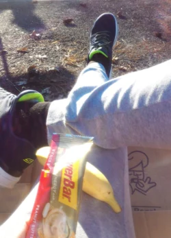 Дневник марафонца