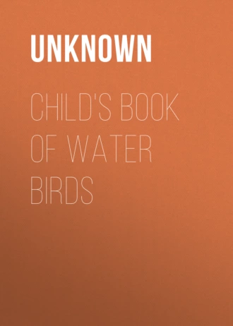 Child's Book of Water Birds