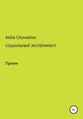 СОЦИАЛЬНЫЙ ЭКСПЕРИМЕНТ