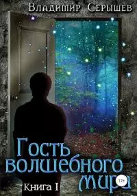 Гость  волшебного  мира. Книга  первая: Незнакомец
