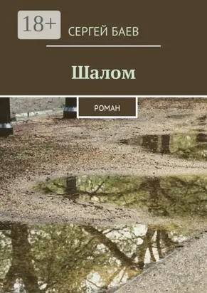 Шалом. Роман