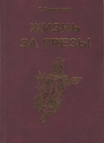 Жизнь за грезы, или Околдованная женщина