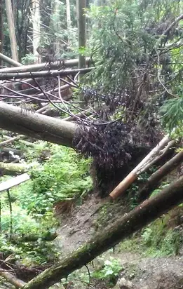 Триста пятидесятый год – перезагрузка [СИ]