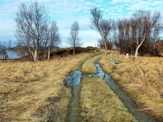 ОБСТОЯТЕЛЬСТВА МЕСТА сборник рассказов и эссе