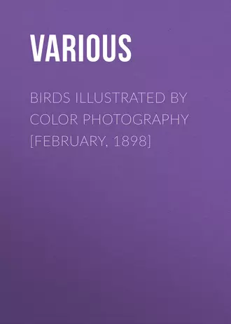 Birds Illustrated by Color Photography [February, 1898]