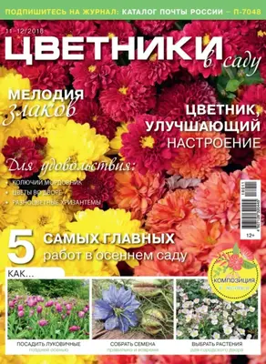 Цветники в саду №11-12/2018