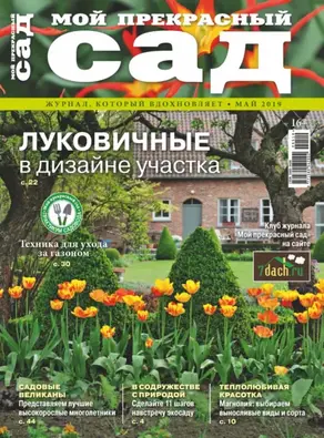 Умный ребенок за 15 минут в день