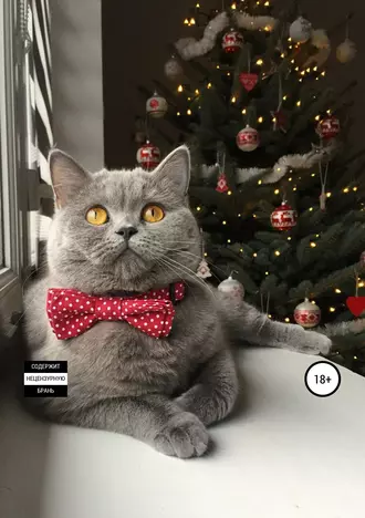 Ограниченная ответственность (новая ред.)