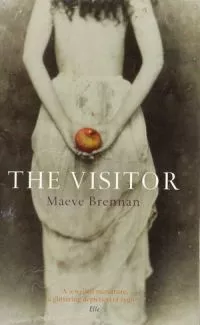 The Visitor