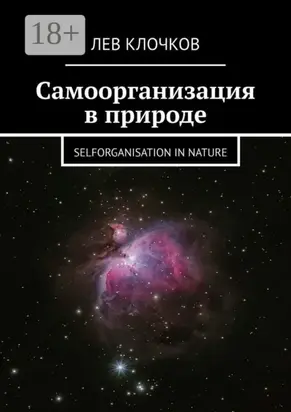 Самоорганизация в природе. Selforganisation in Nature