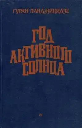 Год активного солнца