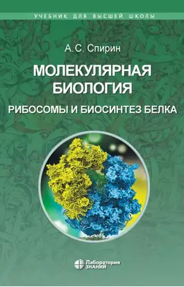 Молекулярная биология. Рибосомы и биосинтез белка