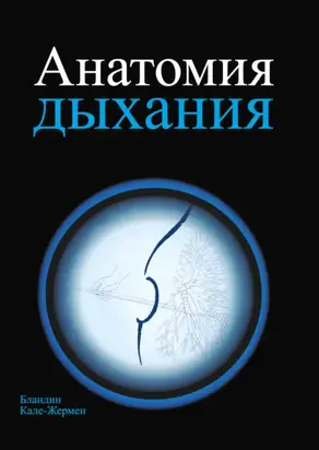 Анатомия дыхания