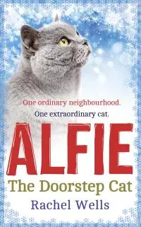 Alfie The Doorstep Cat
