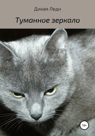 Туманное зеркало 4