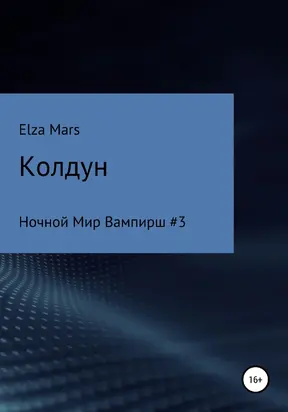 Колдун [litres самиздат]