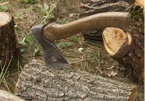 Иван, лесорубов сын