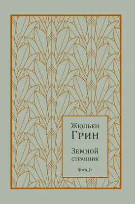 Земной странник