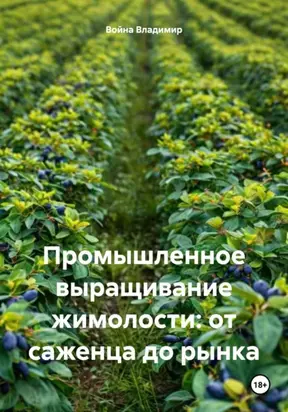 Промышленное выращивание жимолости: от саженца до рынка