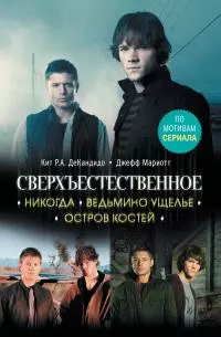 Никогда. Ведьмино ущелье. Остров костей [сборник litres]