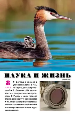 Наука и жизнь №08/2025