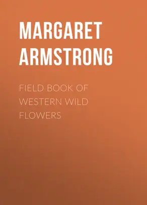 Весна на дворе. Стихотворения русских поэтов