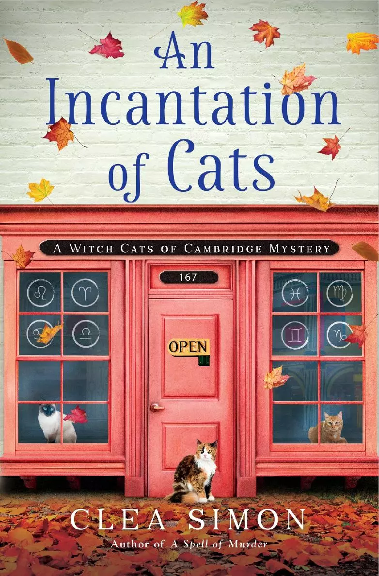 An Incantation Of Cats