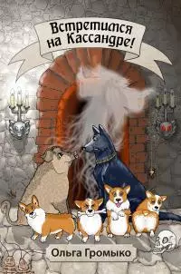 Встретимся на Кассандре! [СИ litres]