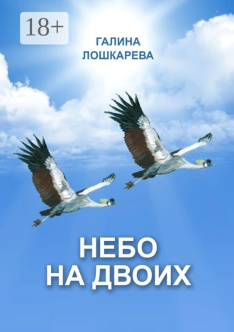 Небо на двоих