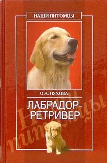 Лабрадор ретривер