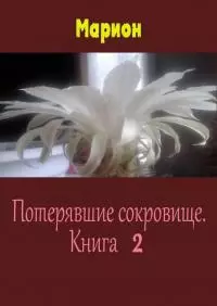 Потерявшие сокровище. Книга 2 [СИ]